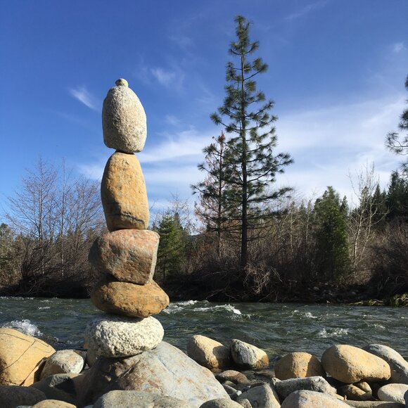 Meet your Posher, Pippi - Picture 2 of 2